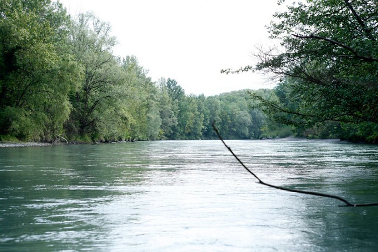 Itinerario a piedi : les bords de l'Arve - De Gaillard à Arthaz