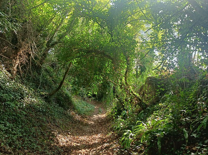 Les Hauts de Saint-Genix_Saint-Genix-les-Villages