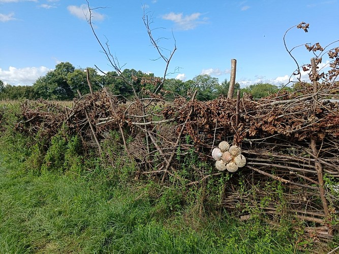 Les Hauts de Saint-Genix_Saint-Genix-les-Villages