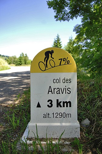 Col des Aravis from Flumet