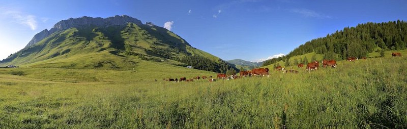 De Col des Aravis opfietsen