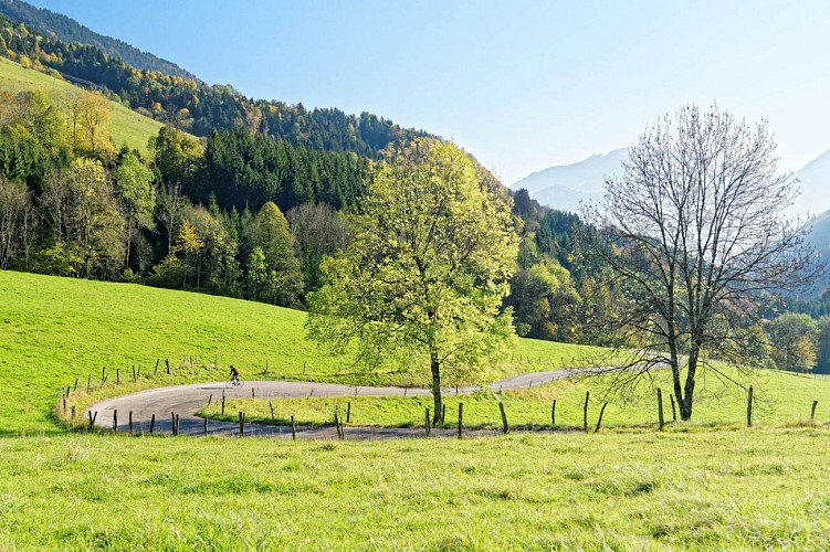 Col de la Forclaz