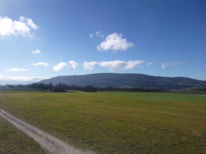 Anello pedonale : paysages et récoltes