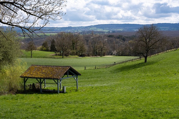 Anello pedonale : une boucle à saute frontière: Malagny - Sezegnin - Avusy