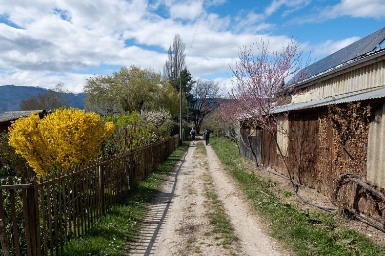 Anello pedonale : une boucle à saute frontière: Malagny - Sezegnin - Avusy