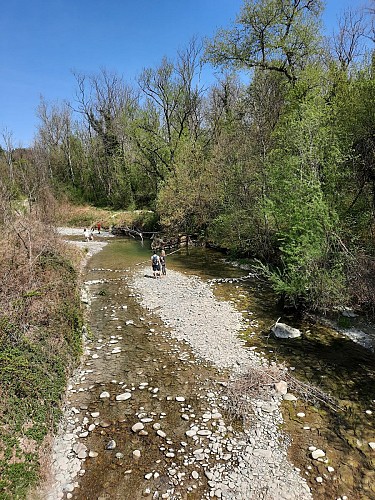 Anello pedonale : une boucle à saute frontière: Malagny - Sezegnin - Avusy