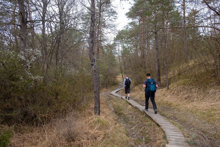 Wandellus: een grenswandellus: Malagny - Sezegnin - Avusy