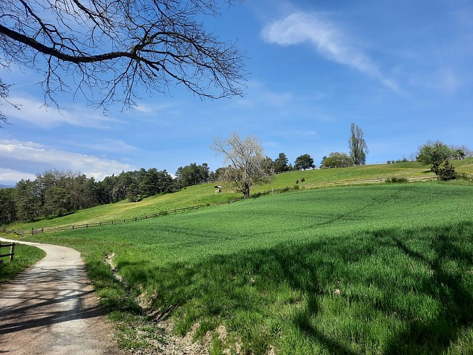 Wandellus: een grenswandellus: Malagny - Sezegnin - Avusy