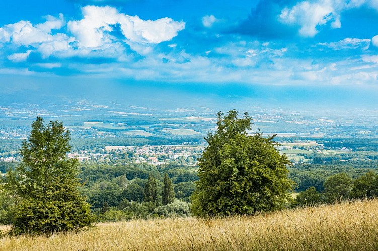 Rundwanderweg : le sentier nature du Vuache