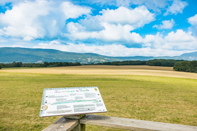 Wandelroute: de Vuache natuurroute