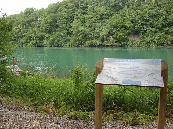 Wandellus: van Nant naar Rhône