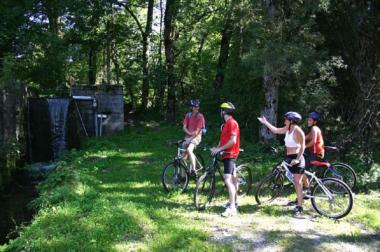 Parcours VTT Descente de la Menoge_Habère-Poche