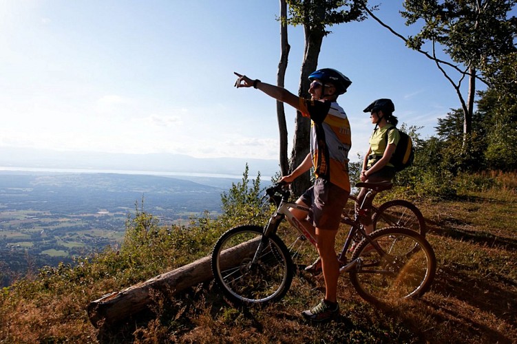 Les Moises Mountain Bike Trail_Habère-Poche