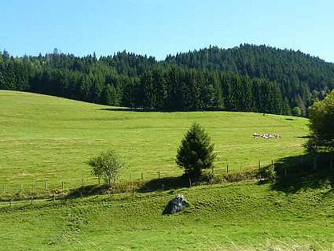 "Les Chalets de Trécout" Hike