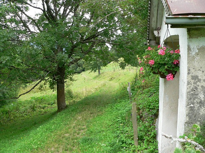 Randonnée "les Granges de Lullin"