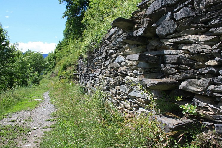 Sentier des Vignes - Bozel