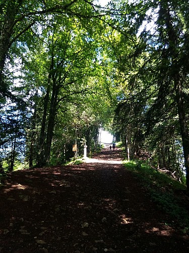 "Les Crêtes d'Hermone" Hike