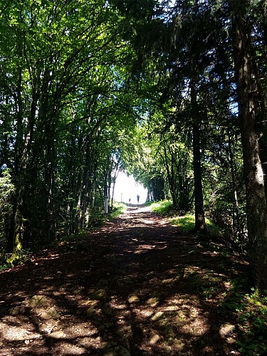 "Les Crêtes d'Hermone" Hike