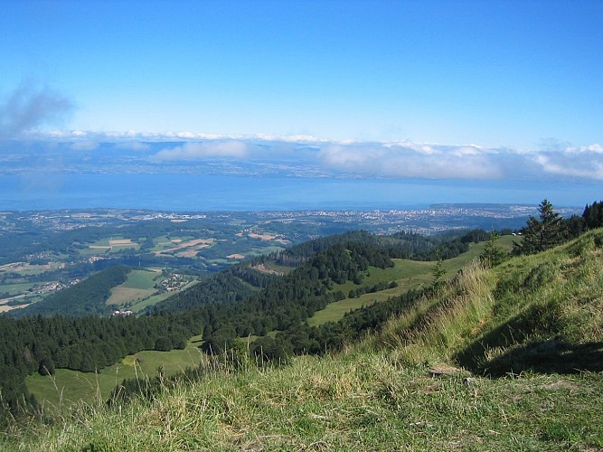 "Le Mont Forchat" Hike