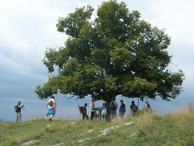 Les balcons de Saint-Maurice-de-Rotherens