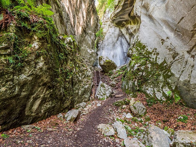 A walk in the Gorges des Tines