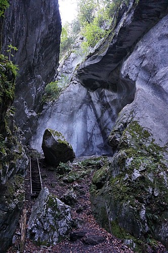 A walk in the Gorges des Tines