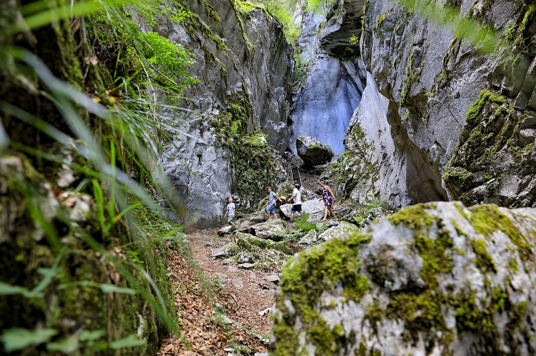 Wandeltocht : De kloven van Tines