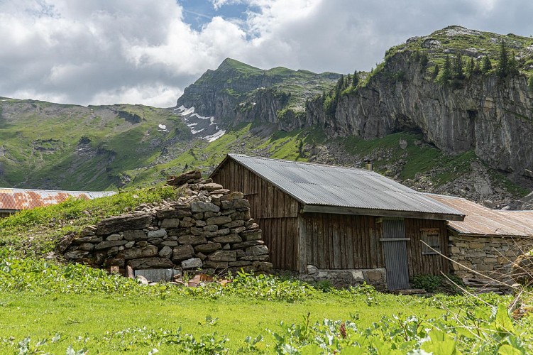 Wandelen naar de bergweiden en chalets van Salvadon