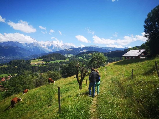 Petite boucle de la Plagne - summer_Cordon