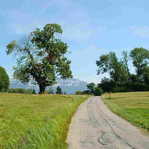 De la Crusille vers le lac d'Aiguebelette