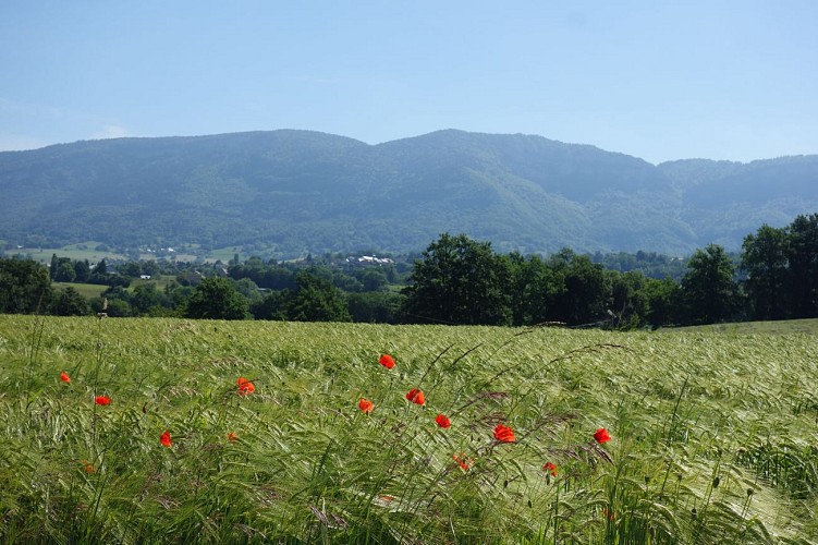 Fietsroute: Verbinding Aix-les-Bains / Annecy