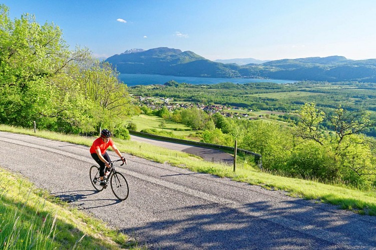 Fietsparcours: Circuit van Sapenay