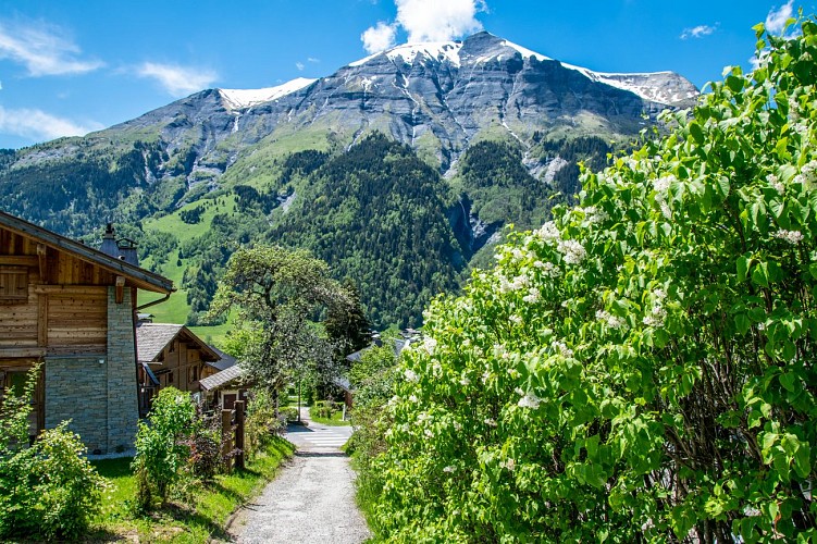 Boucle de la côte d’Auran