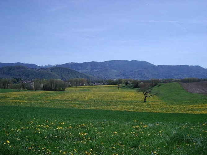 Sentier Le Trésor de Gigi La Mouette Rieuse