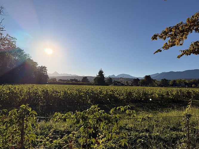 Géosite du "Château de Ripaille"_Thonon-les-Bains