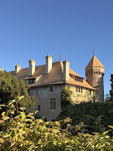 Géosite du "Château de Ripaille"_Thonon-les-Bains