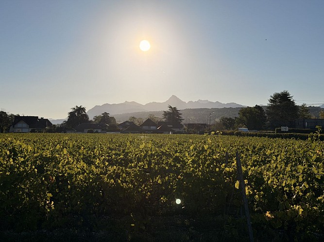 Géosite du "Château de Ripaille"_Thonon-les-Bains
