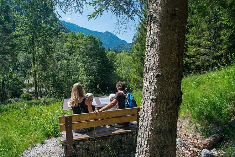 Mobilier sur le géosite de la forêt ivre