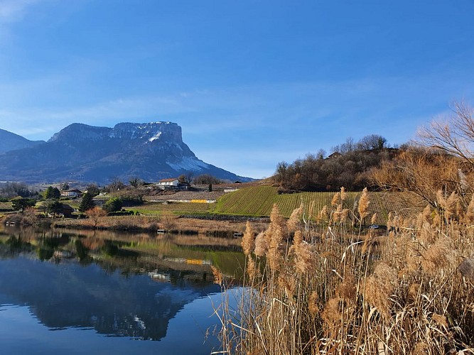 Granier vineyards and Lake of Saint-André