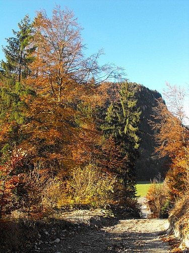 Abondance en automne