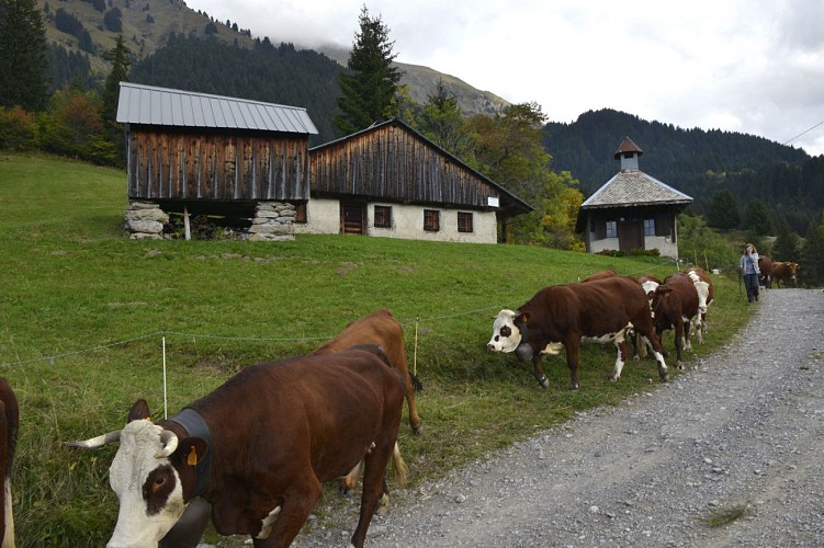Wandelroute: Boucle des Plagnes