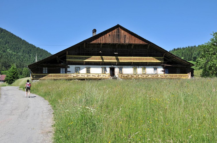 Randonnée Pointe des Follys - Abondance