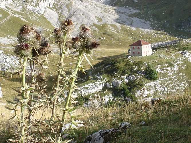 Tour du lac d’Annecy. (Variante A/R) Refuge de Pré vérel - La Tournette (2351m) –. Etape 04