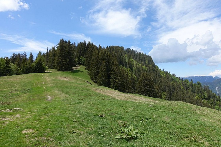 Le Danay by Les Confins