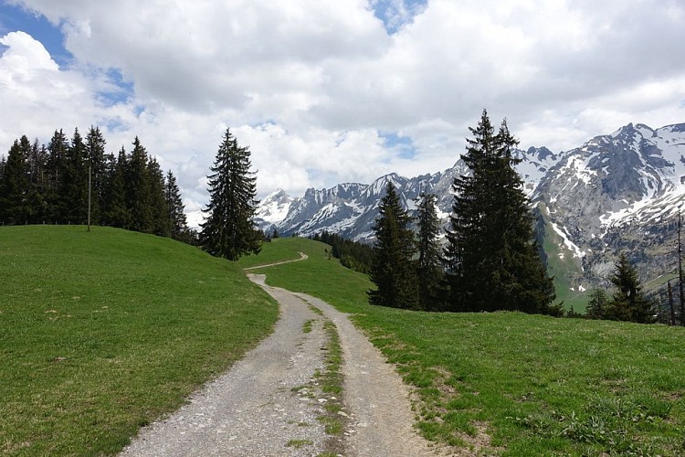 Tête du Danay depuis les Confins