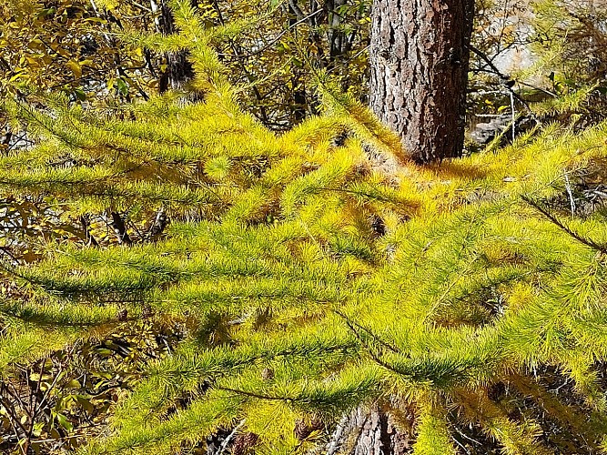 Escursione dal rifugio Avérole passando per il borgo