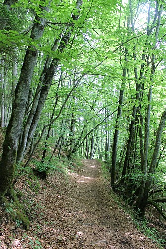 Boucle cascade du Pissieu