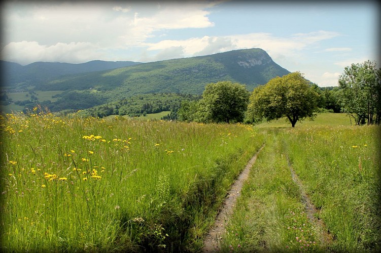 Lescheraines mountain bike loop - Prérouge Cave and Pont du Diable (bridge)