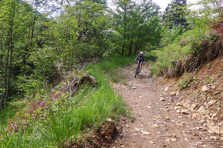Circuit VTT Aillons Margériaz 1000 - Lac de la Thuile