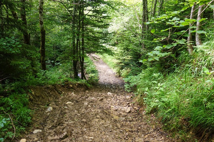 Circuit VTT Aillons Margériaz 1000 - Lac de la Thuile
